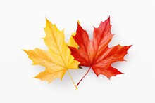 Two Colorful Maple Leaves On White Background, AI Generated