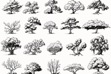 collection of trees vector