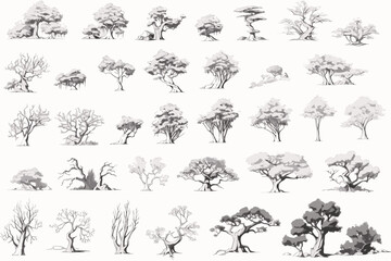 collection of trees vector