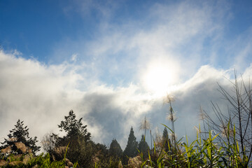 Wall Mural - sunlight over the cloud over the mountain at morning