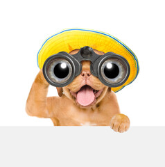 Aufkleber - Happy mastiff puppy wearing summer hat looks through binoculars above empty white banner. Isolated on white background