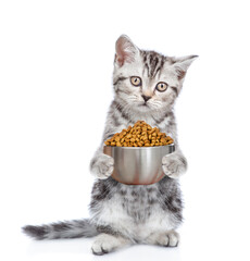 Wall Mural - Cute kitten holds bowl of dry food. isolated on white background