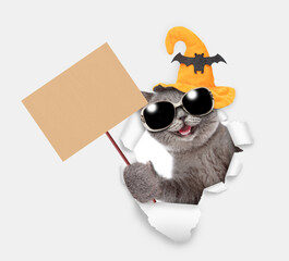 Poster - Happy cat puppy wearing sunglasses and hat for halloween looking through the hole in white paper and shows empty placard