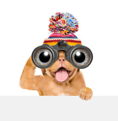 Aufkleber - Happy mastiff puppy wearing warm hat looks through binoculars above empty white banner. Isolated on white background