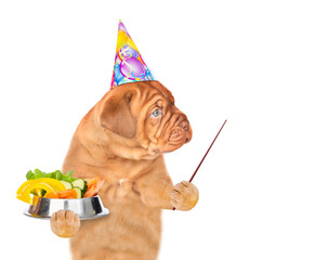 Poster - Hungry puppy wearing party cap holds bowl of vegetables and looks away on empty space. isolated on white background