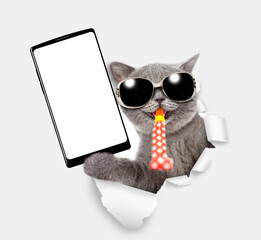 Poster - Happy cat wearing sunglasses blows in party horn and shows smartphone with white blank screen in it paw through torn white paper hole. Empty free space for mock up, banner