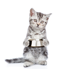 Leinwandbilder - Cute kitten holds empty bowl. isolated on white background