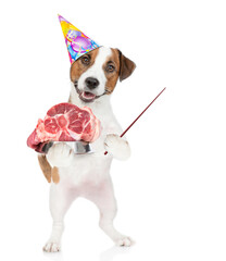 Poster - Jack russell terrier holds bowl of raw meat and points away on empty space. isolated on white background