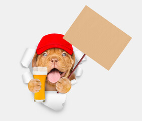 Poster - Happy puppy wearing blue cap looking through the hole in white paper and holding glass of light beer