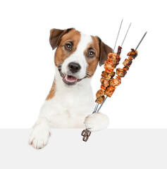 Poster - jack russell terrier puppy holds grilled meat on skewer above empty white banner. isolated on white background