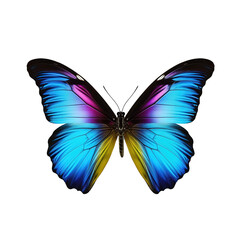 Aufkleber - Color butterfly