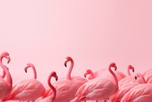 A Flock Of Pink Flamingos Standing Together