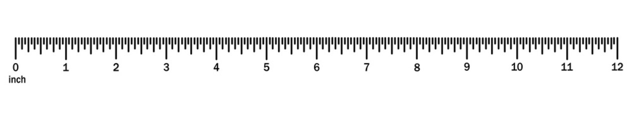 digital ruler 12 inches. horizontal measuring chart with markings. mathematics of measuring distance