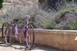Retro purple bicycle with a small trailer on lavender field background, Provence, France. Beautiful traditional french view, card with copy space.
