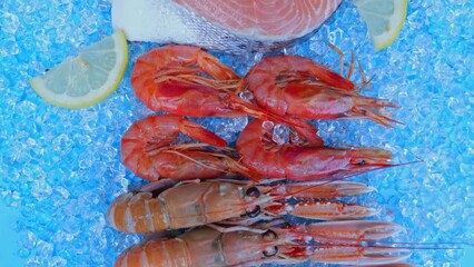 Wall Mural - Top view of variety of fresh fish and seafood on ice.