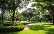 Lush green city park filled with various types of trees, plants, and flowers, showcasing the diversity of plant life in an urban setting