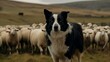 border collie herding sheep - generative ai