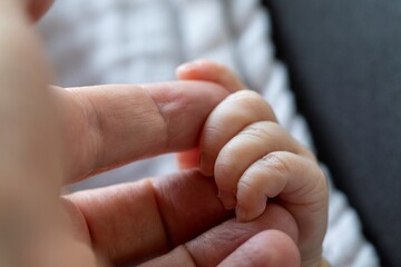 A close up portrait of the small tiny fingers of a baby grabbing or clutching the fingers of the hand of the parent. Showing the care, dependency and love between a child and parent.