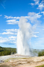 The Old Faithful Geyser Erupting In Yellowstone National Park