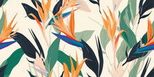 Exotic Abstract Tropical Pattern With Strelitzia Flower Or Bird Of Paradise. Colorful Botanical Abstract Contemporary Seamless Pattern. Hand Drawn Unique Print