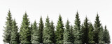 Fototapeta Las - A serene winter forest scene with a row of snow-covered trees on a white background is AI Generative.