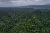 Fototapeta Na ścianę - Beautiful aerial view of the Costa Rica Rainforest in the Talamanca Region
