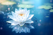 Floating water lily in the pond