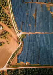 Wall Mural - solar panels plant, aerial view - rows of photovoltaic cell collectors on a landscape. green energy 