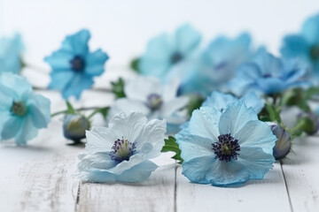 Wall Mural - beautiful and delicate blue flowers arrangement on white wooden background