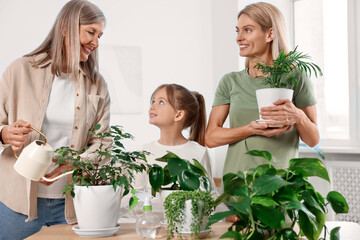 Wall Mural - Three generations. Happy grandmother, her daughter and granddaughter watering houseplants at home