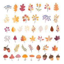 Set Of Colorful Autumn Leaves And Berries. Isolated On A White Background. Simple Cartoon Flat Style. Vector Illustration.