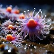 A macro view of a vibrant rock pool, with anemones unfurling their colorful tendrils, starfish clinging to the rocks, and crabs scuttling in the crevices.