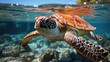 © blueringmedia - A vibrant coral reef under crystal-clear water, teeming with multicolored fish and a sea turtle gliding effortlessly.