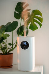 Modern humidifier at home, moistens dry air surrounded by indoor Monstera houseplant. Humidification, plant care, comfortable living conditions concept. Diffuser, apartment with moisturizer