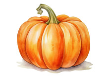 Watercolor Illustration Of Ripe Pumpkin Isolated On Transparent Background