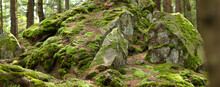 A Moss-covered Rock Formation In A Forest Made Up Of Large Boulders And Smaller Rocks, All Covered In Bright Green Moss.