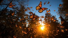A Monarch Butterfly (Danaus Plexippus) Migration In The Skies Above Mexico's Monarch Butterfly Biosphere Reserve, The Air Filled With A Fluttering Sea Of Orange And Black Wings, Creating A Stunning Vi