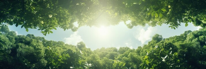 Wall Mural - Sun shining through the trees banner and wallpaper background. Generative AI