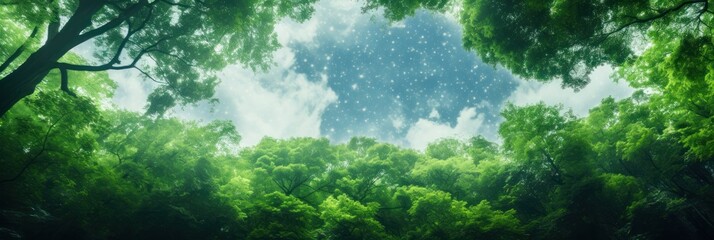 Wall Mural - Sun shining through the trees banner and wallpaper background. Generative AI