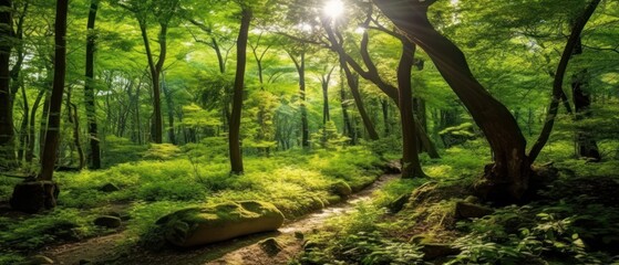 Wall Mural - Silent Forest in spring with beautiful bright sun rays. Generative AI