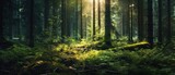 Fototapeta Las - Silent Forest in spring with beautiful bright sun rays. Generative AI