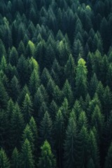  Misty mountain landscape. Moody forest landscape with fog and mist. Generative AI