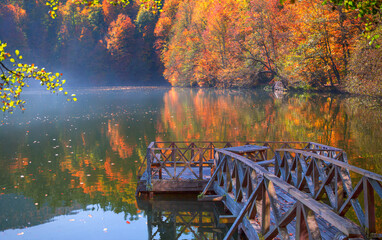 Poster - Autumn forest landscape reflection on the water with wooden pier - Autumn landscape in (seven lakes) Yedigoller Park Bolu, Turkey