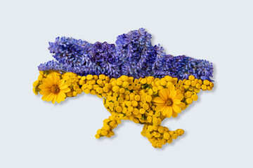 ukraine country map shape made with blue and yellow meadow flowers texture, isolated with shadow on 