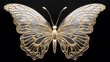 © KWY - a close-up of a butterfly