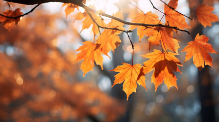Wall Mural - Beautiful park with falling maple leaves new quality universal colorful technology stock image illustration design, generative ai