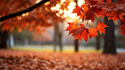 Wall Mural - Beautiful park with falling maple leaves new quality universal colorful technology stock image illustration design, generative ai