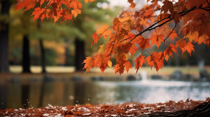 Wall Mural - Beautiful park with falling maple leaves new quality universal colorful technology stock image illustration design, generative ai