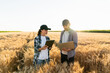 Couple of farmers examines the field of cereals.