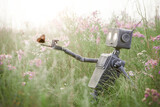 Fototapeta Koty - Humanoid robot sits in a meadow among wild flowers and admires a butterfly. Robotic object experiences feelings and emotions. Concept of technology development in the form of artificial intelligence.
